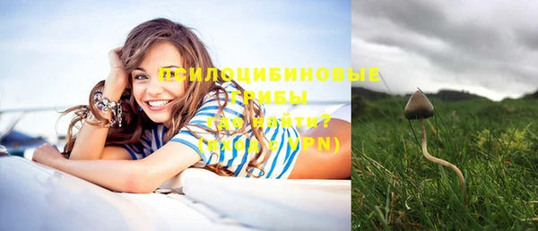 spice Нягань