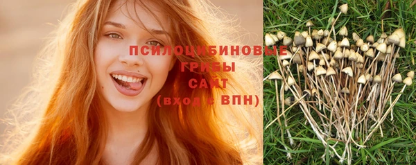 мет Няндома